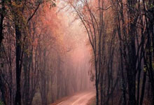 超级品牌盛典圆满成功