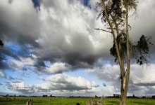 超级品牌盛典圆满成功