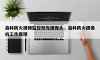 森林防火视频监控双光摄像头，森林防火摄像机工作原理